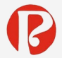 P Group logo